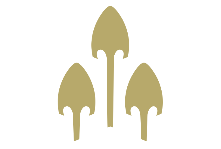 Arrows wins Arrows wins